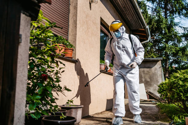 Best Emergency Pest Control  in Yosemite Lakes, CA