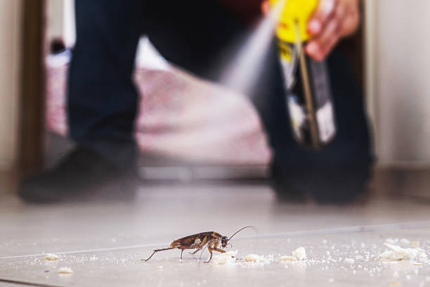 Trusted Yosemite Lakes, CA Pest Control Experts