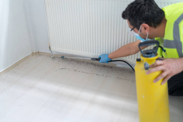 Best Commercial Pest Control Services  in Yosemite Lakes, CA