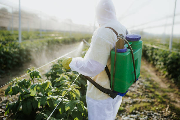 Flea Control Services in Yosemite Lakes, CA